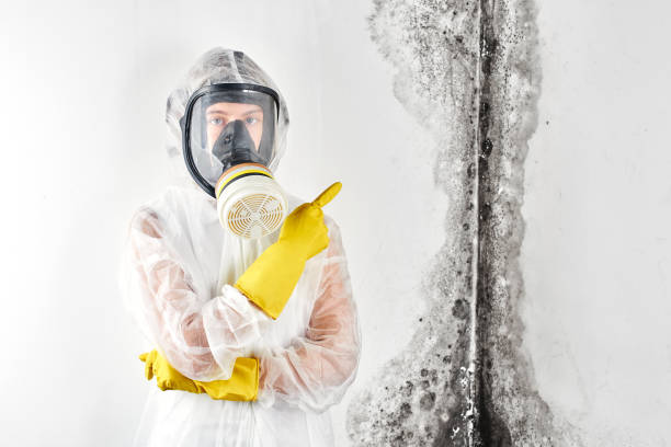 Mold Remediation for Vacation Homes in Brookville, NY